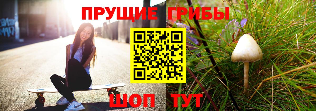 Галлюциногенные грибы Psilocybe  Вход с VPN  Десногорск 