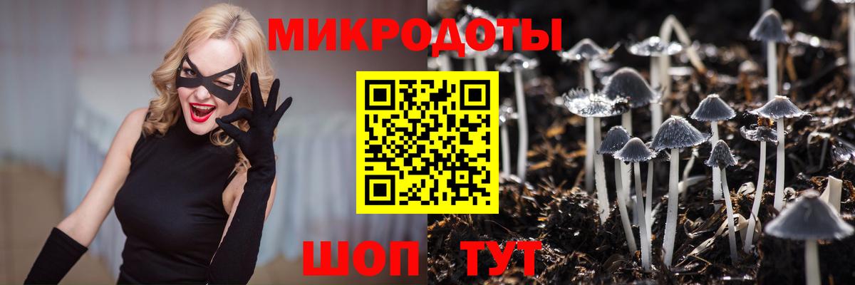 Псилоцибиновые грибы мицелий Десногорск