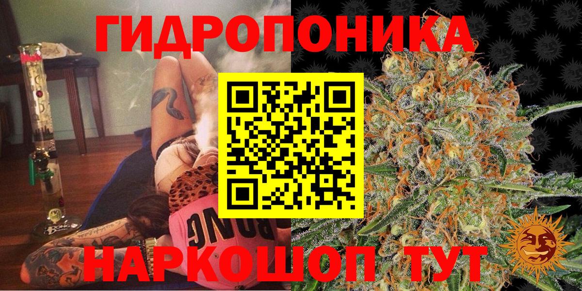 Шишки марихуана марихуана Десногорск